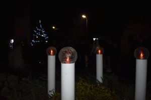 sm_DSC_0483.jpg