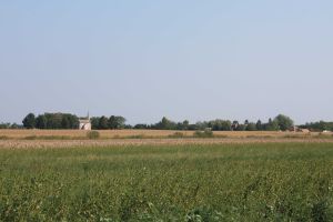 img_5004.jpg