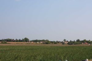 img_5005.jpg