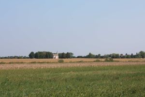 img_5006.jpg