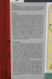 img_5009.jpg