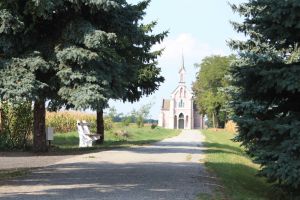 img_5012.jpg