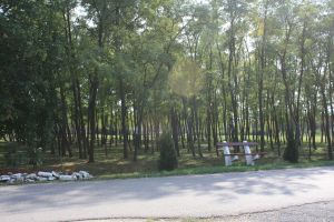 img_5017.jpg