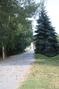 img_5020.jpg