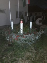 20201129_170518.jpg