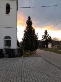 20201130_155121.jpg