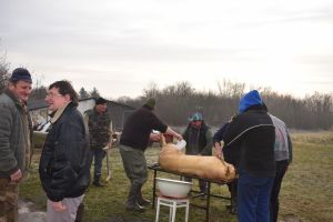 DSC_0024.JPG