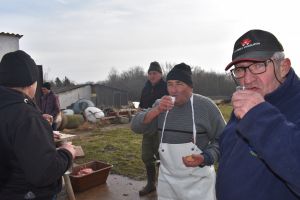 DSC_0105.JPG