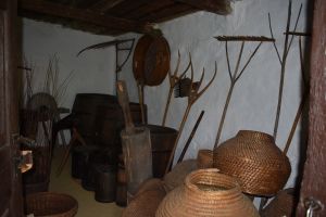 007_dsc_0007.jpg