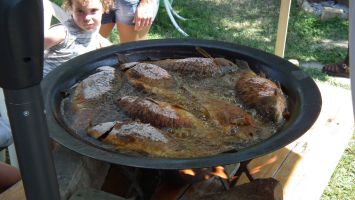 DSCF6673.JPG