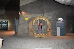 DSC_0640.JPG