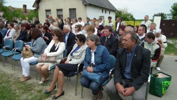 DSCF6374.jpg