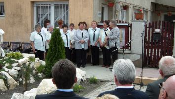 DSCF6396.jpg