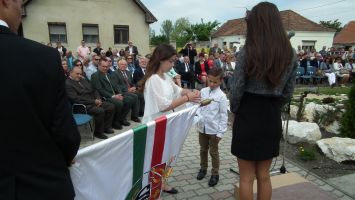 DSCF6429.jpg