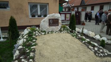 DSCF6464.jpg