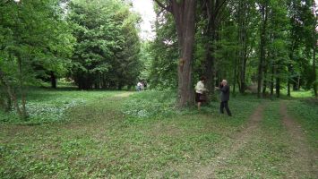 DSCF6521.jpg