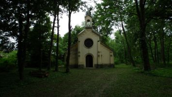 DSCF6555.jpg
