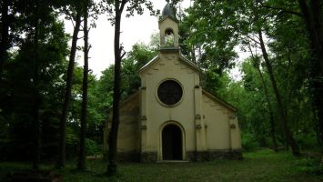 DSCF6556.jpg