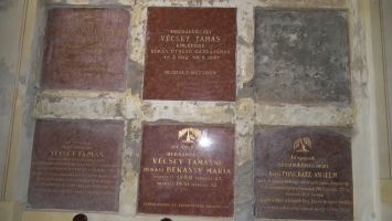 DSCF6560.jpg