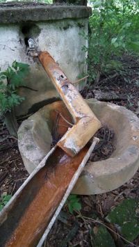 DSCF6564.jpg