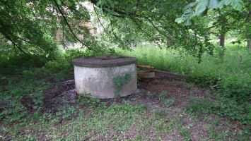DSCF6565.jpg