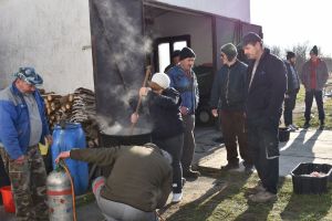 DSC_0068.JPG